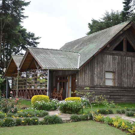 Calamander Lake Gregory Nuwara Eliya Kültér fotó